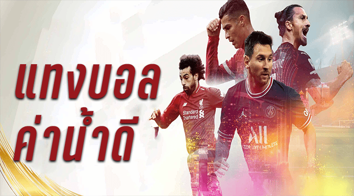 เว็บพนันบอล 2023