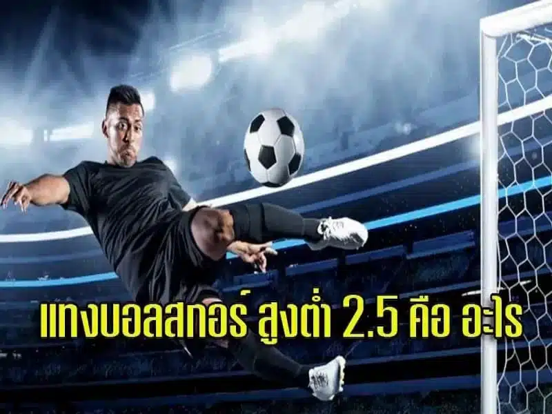 แทงบอล 2.5 คืออะไร