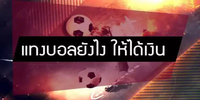 แทงบอล 2.5 คืออะไร